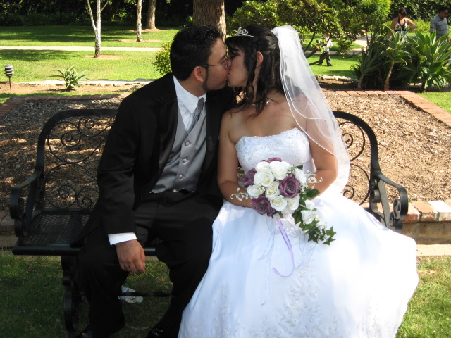 617x456 pixels (142K)